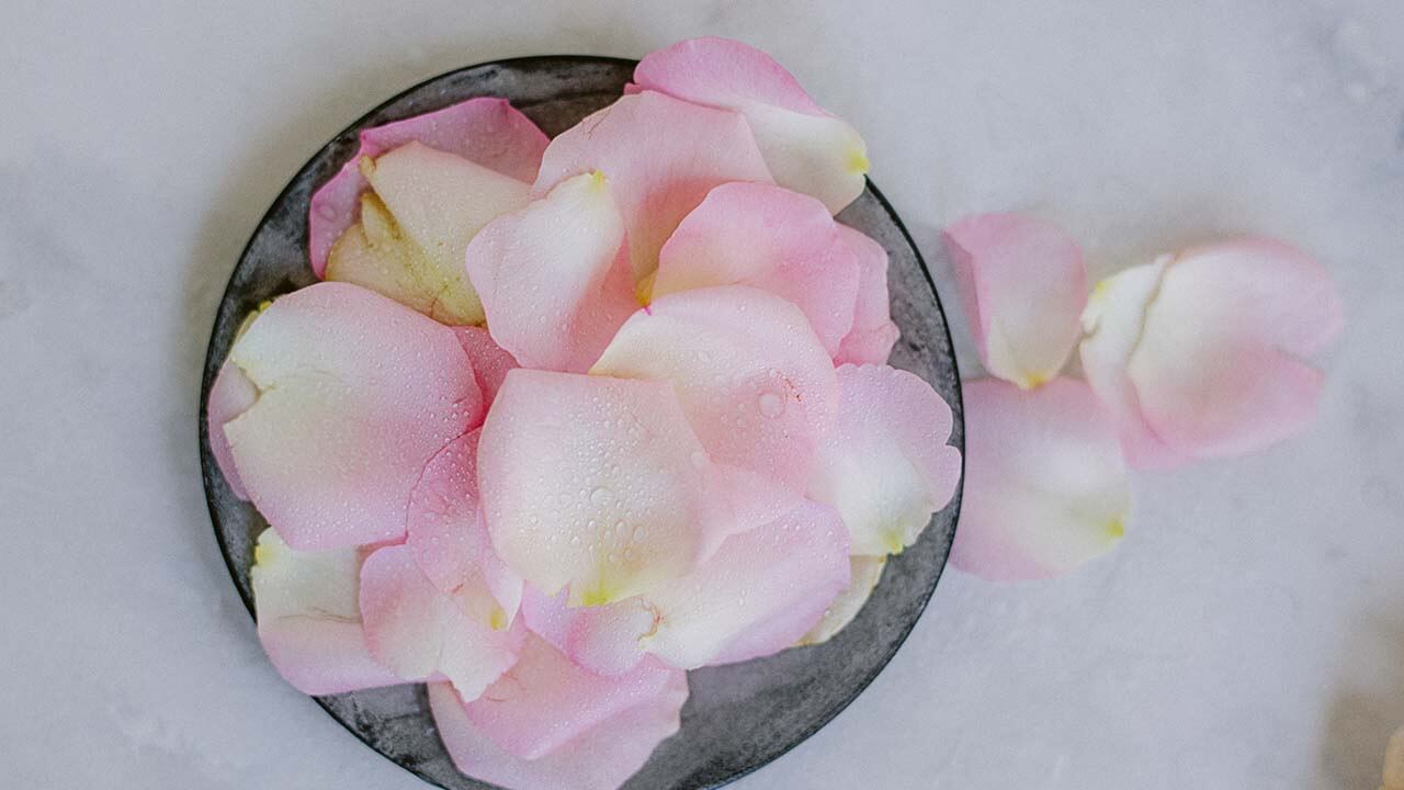 spa-2